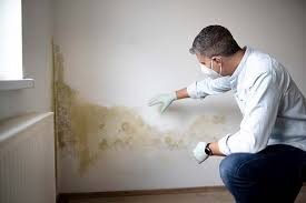 Delaware City, DE Mold Removal Company